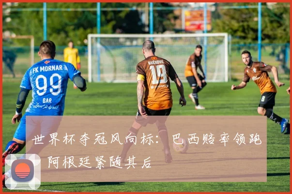 世界杯夺冠风向标：巴西赔率领跑，阿根廷紧随其后